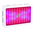 LED Grow Light para Frutas Verduras Horticultura Hidropónica